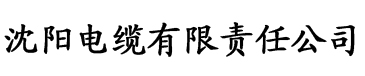 9i传媒有限公司电缆厂logo